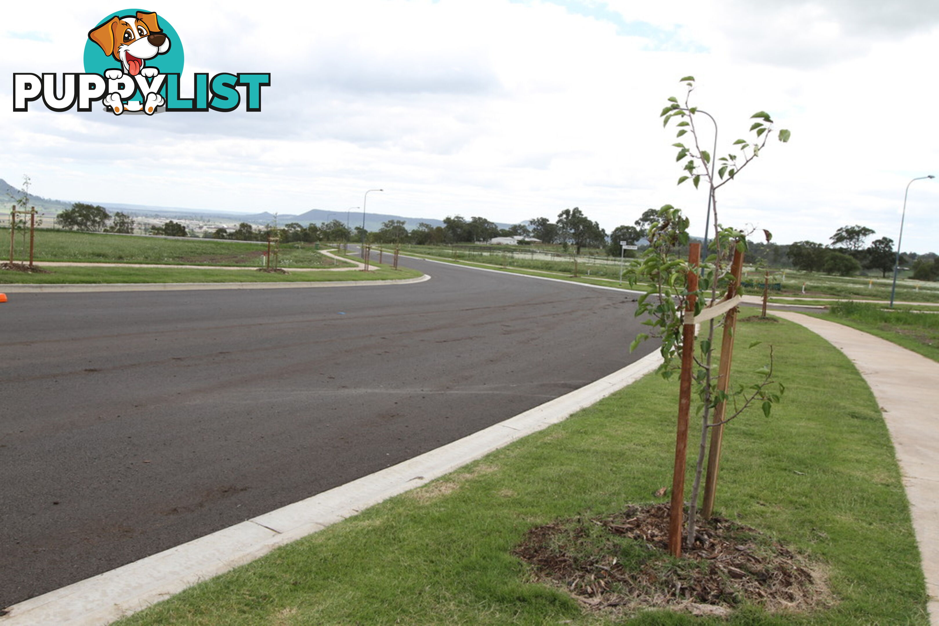 Lot 102 Cnr Basset Crescent/London Circuit TORRINGTON QLD 4350