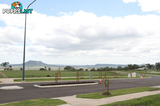 Lot 103 Basset Crescent TORRINGTON QLD 4350