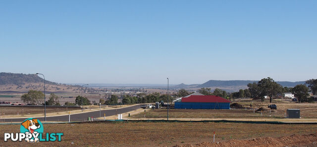 Lot 107 Basset Crescent TORRINGTON QLD 4350