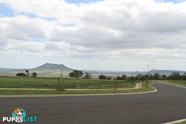 Lot 80 London Circuit TORRINGTON QLD 4350