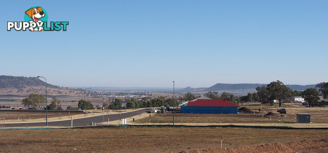 Lot 104 Basset Crescent TORRINGTON QLD 4350