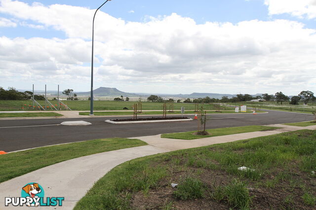 Lot 87 Basset Crescent TORRINGTON QLD 4350