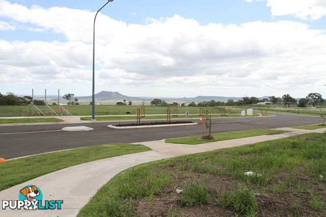 Lot 87 Basset Crescent TORRINGTON QLD 4350