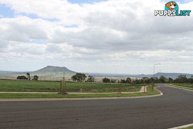 Lot 125 Basset Crescent TORRINGTON QLD 4350