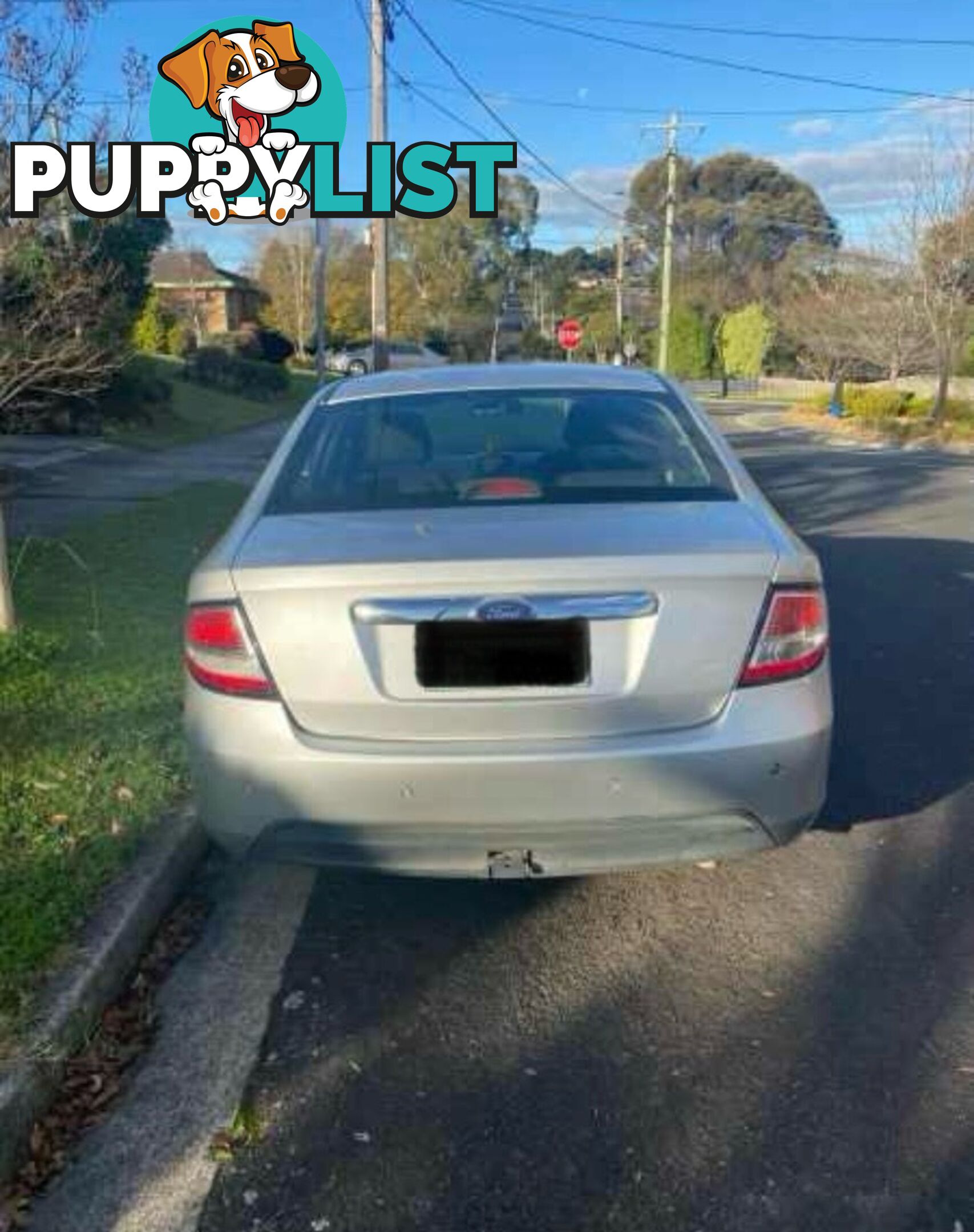 2011 Ford Falcon Silver Sedan Automatic