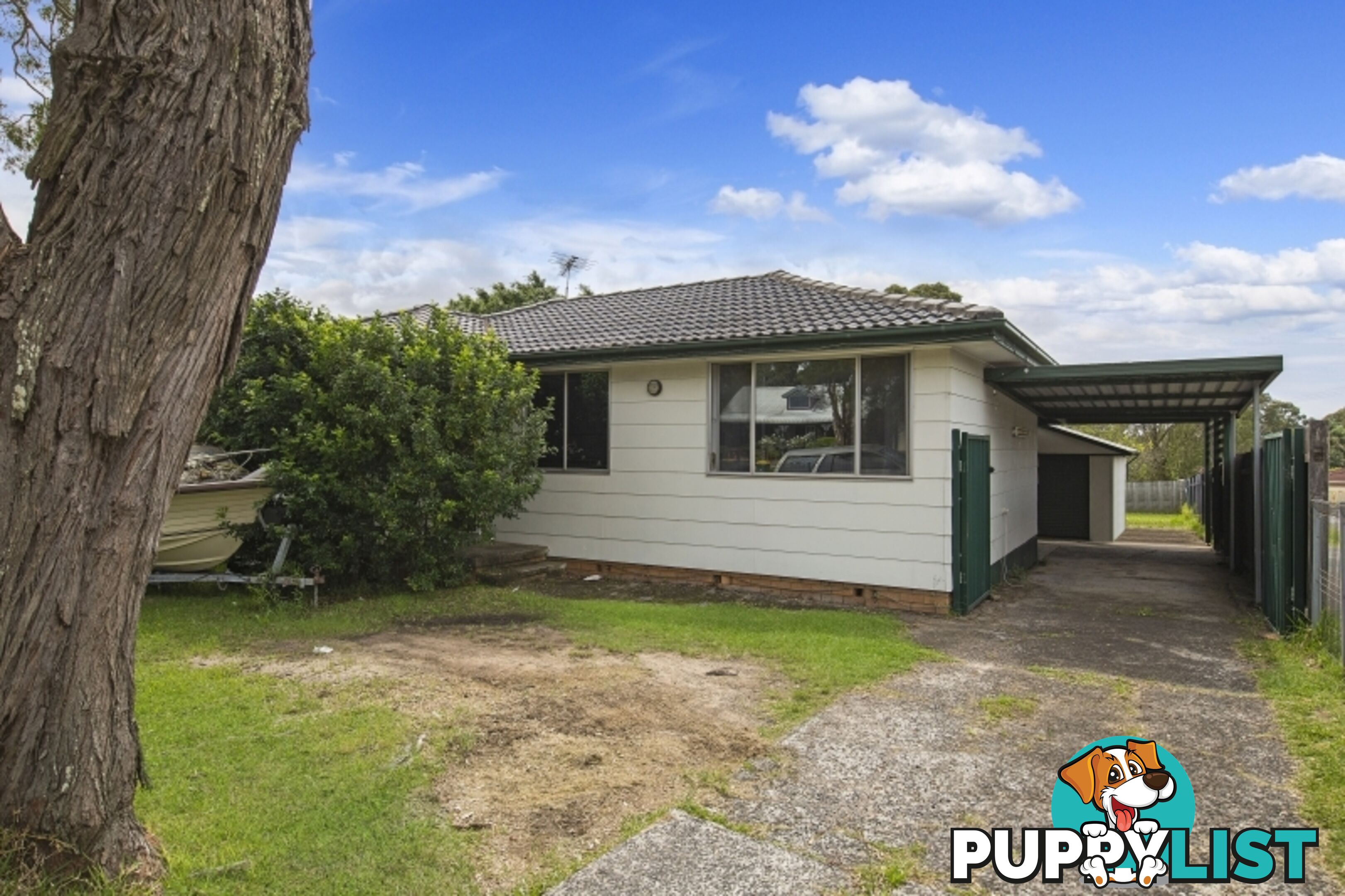 55 Emu Drive SAN REMO NSW 2262