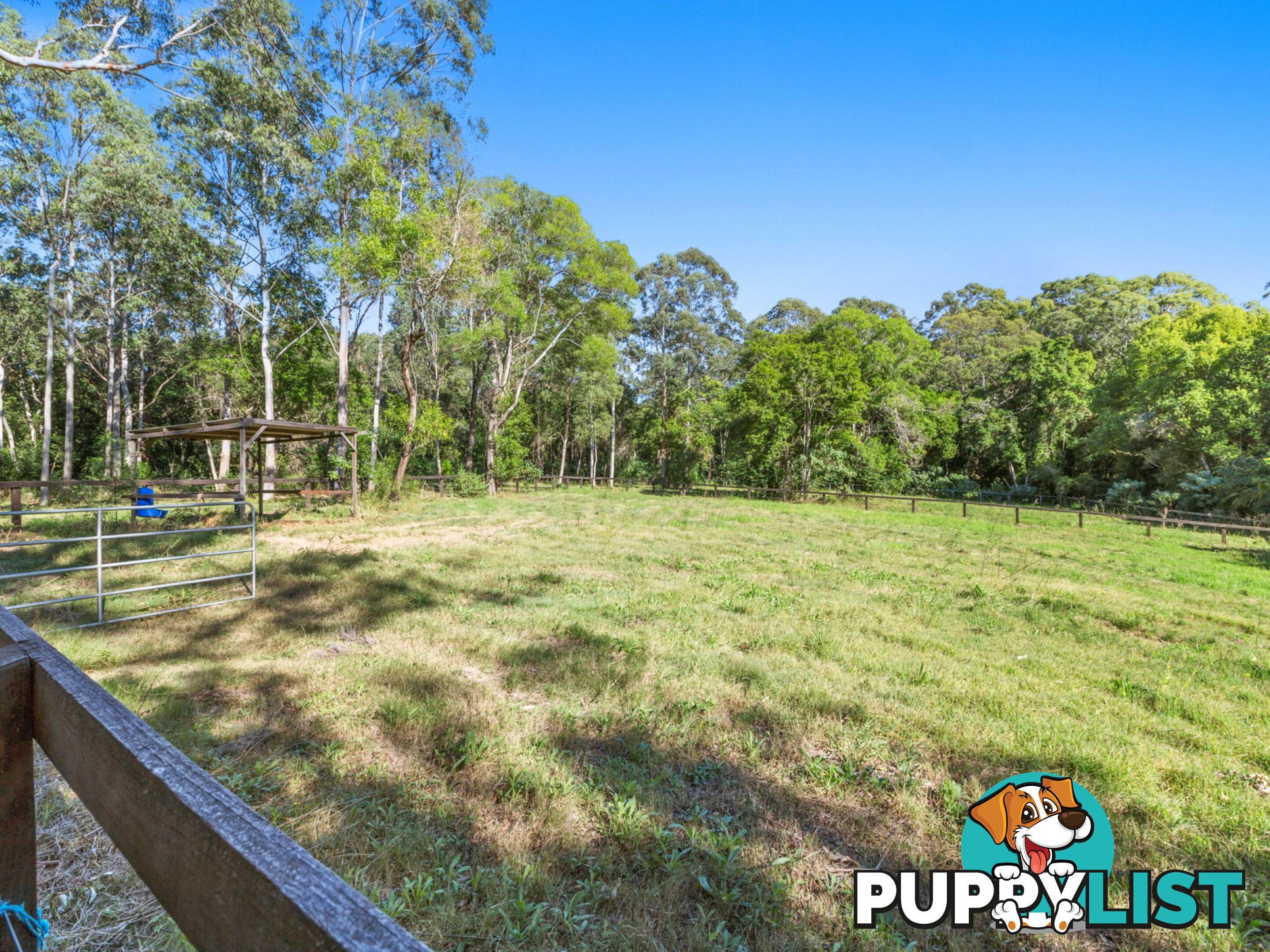 50 Mardi Road MARDI NSW 2259