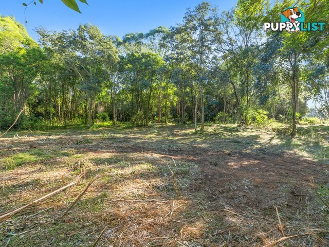 50 Mardi Road MARDI NSW 2259