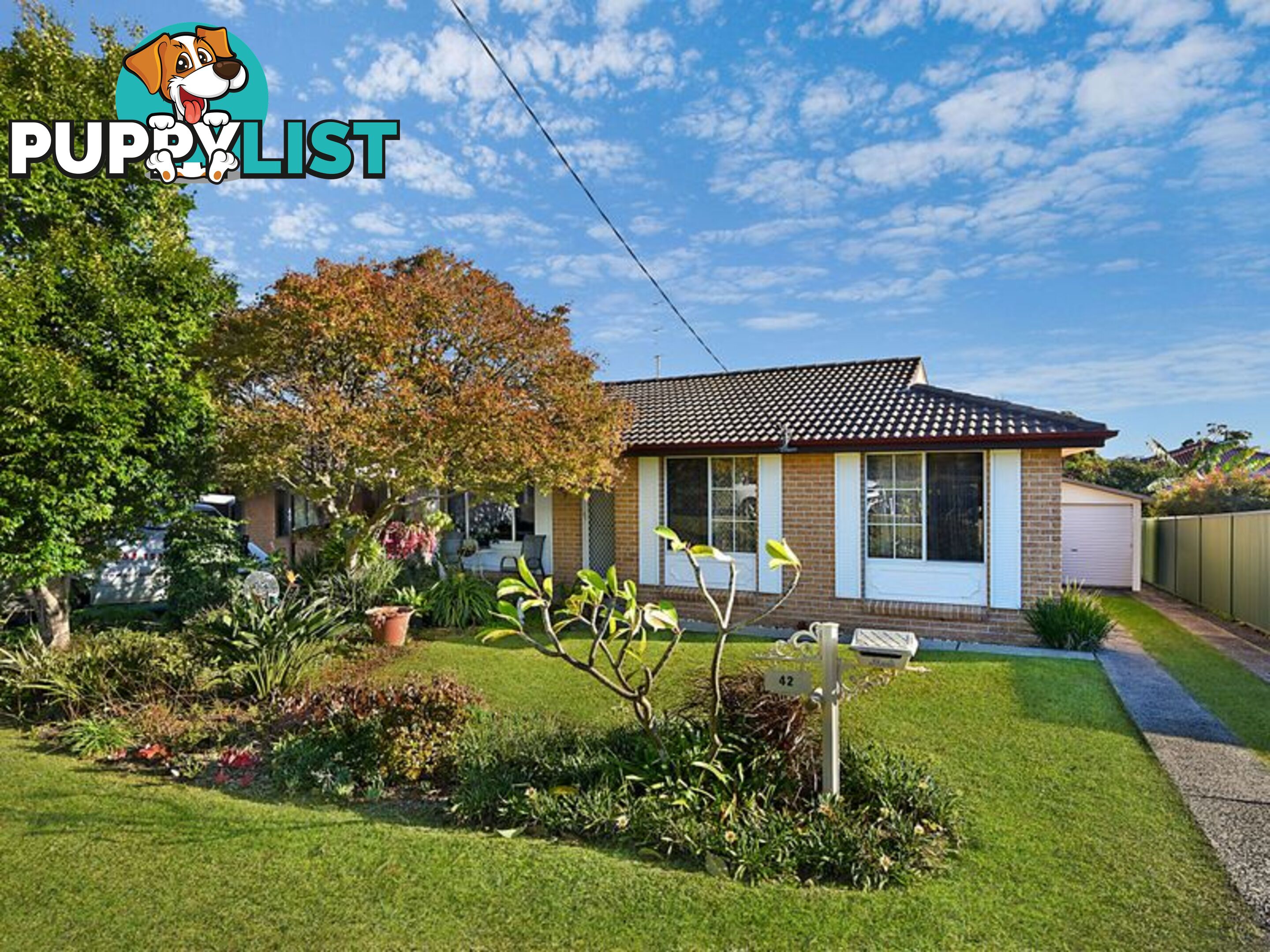 42 Coonanga Avenue BUDGEWOI NSW 2262