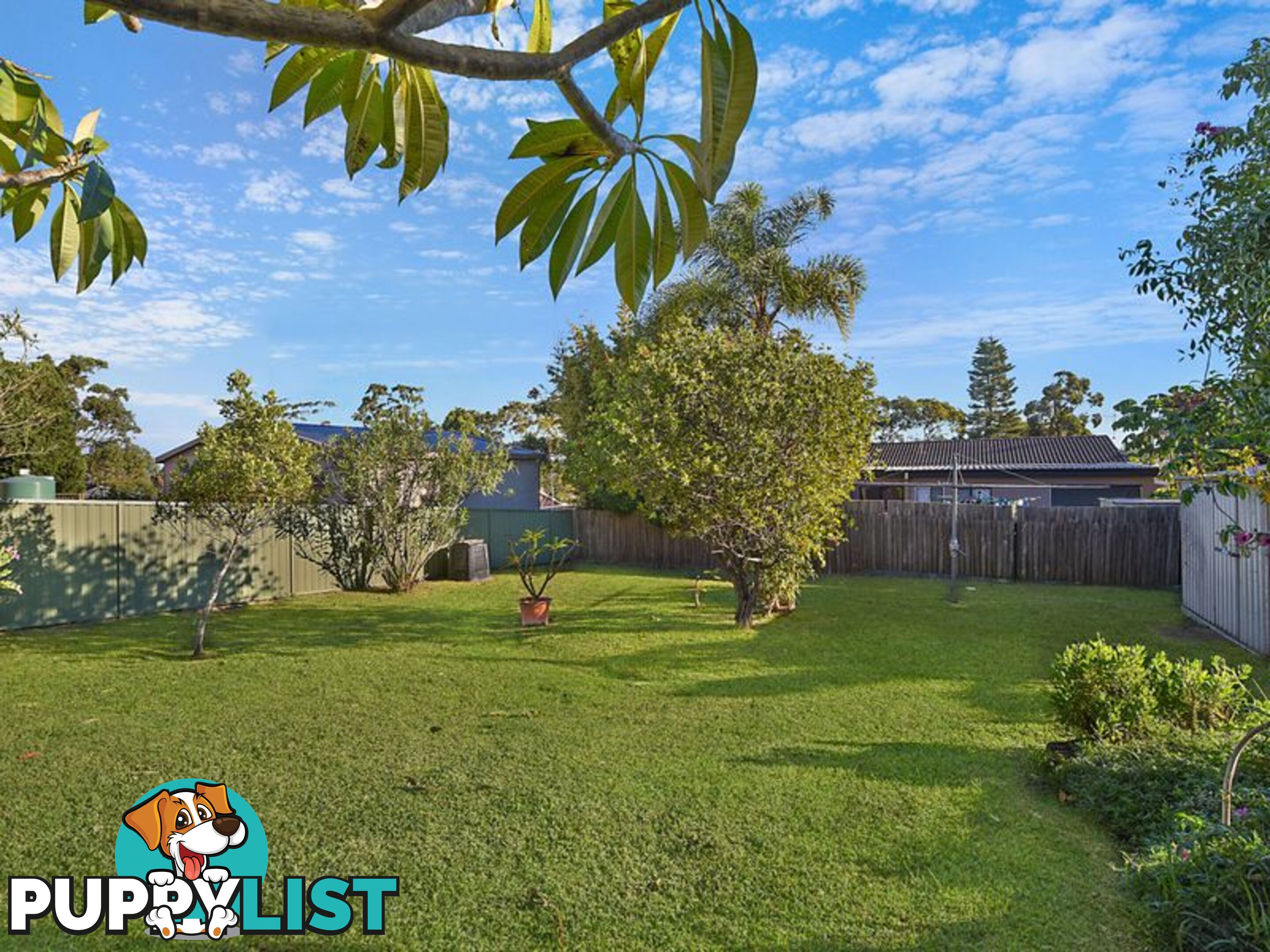 42 Coonanga Avenue BUDGEWOI NSW 2262