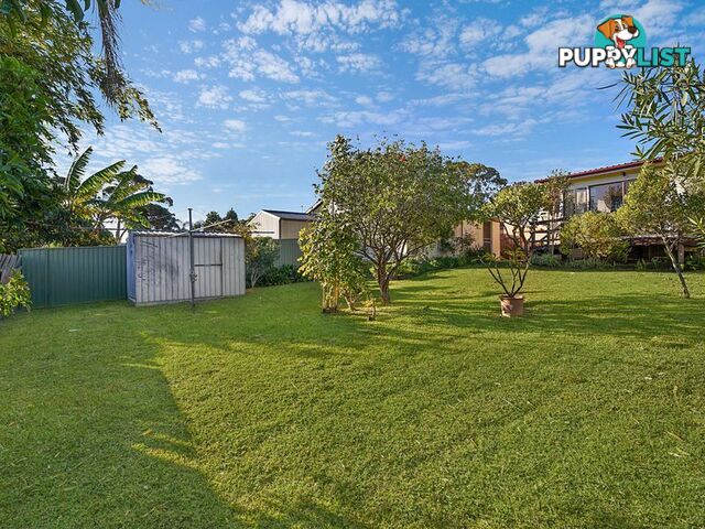 42 Coonanga Avenue BUDGEWOI NSW 2262