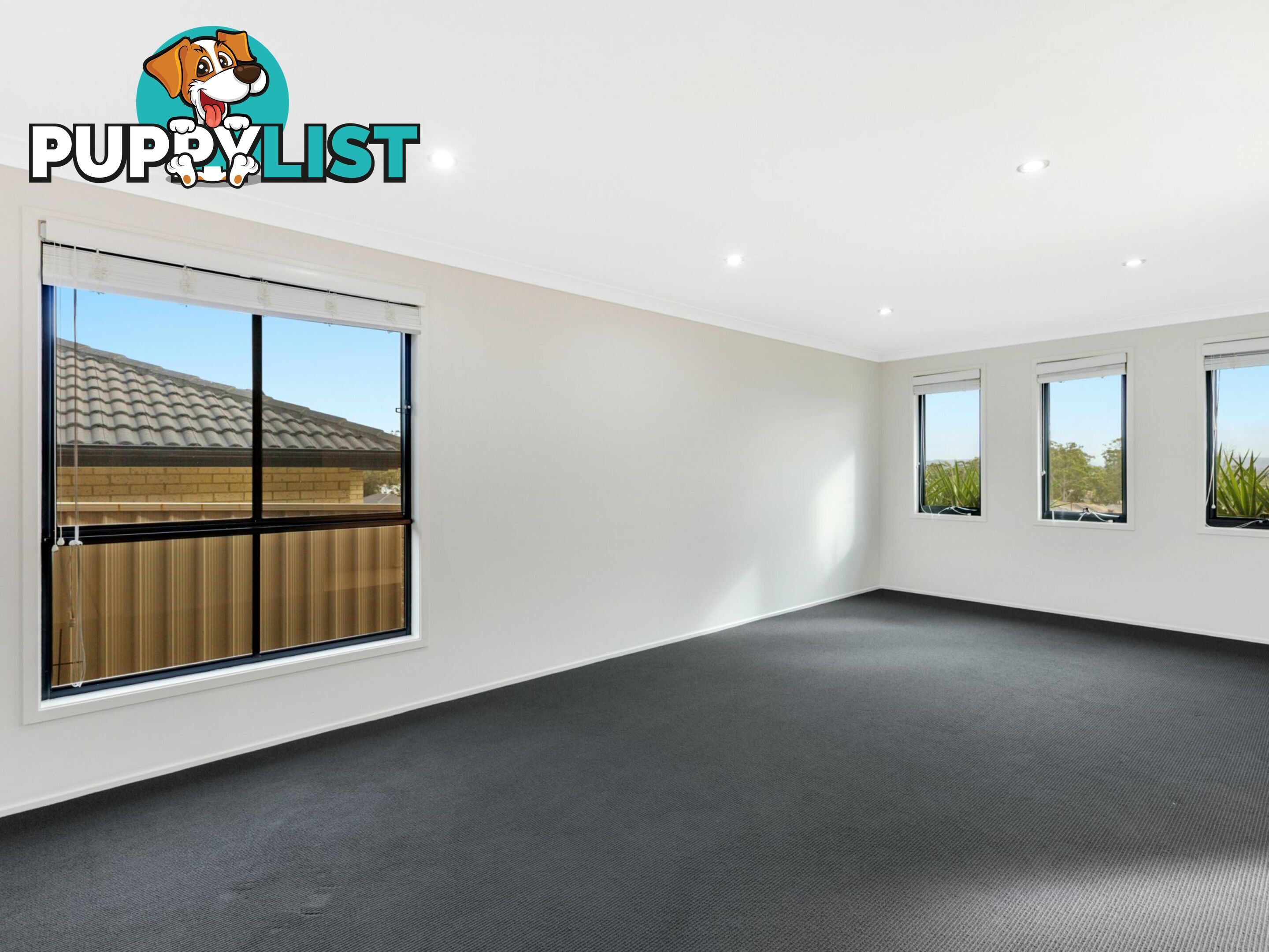 29 Snapdragon Crescent HAMLYN TERRACE NSW 2259