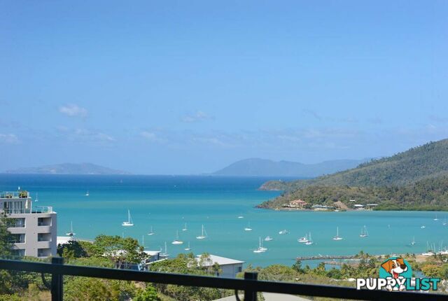 13 Cumberland Court AIRLIE BEACH QLD 4802