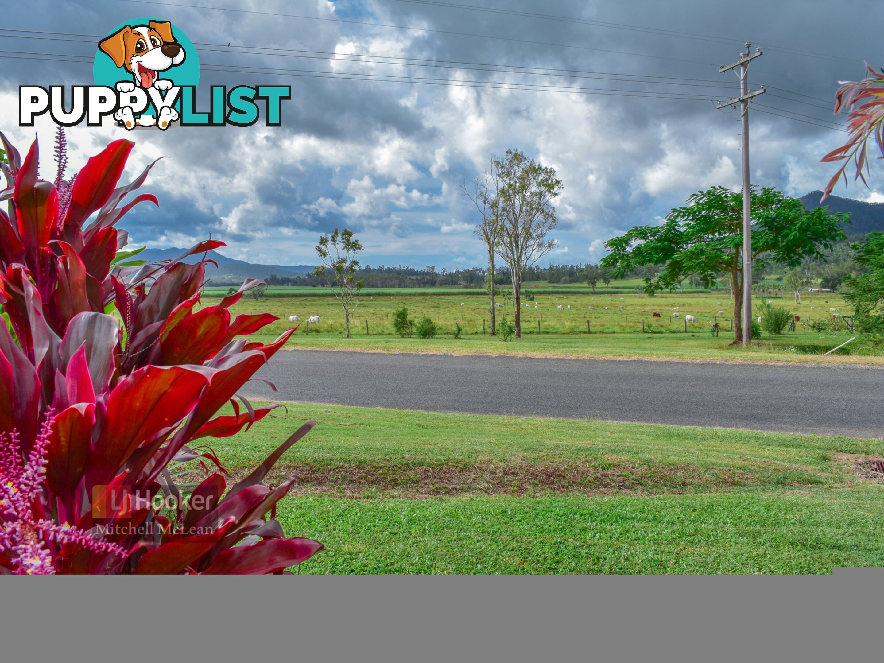 67 Camm Road MOUNT JULIAN QLD 4800