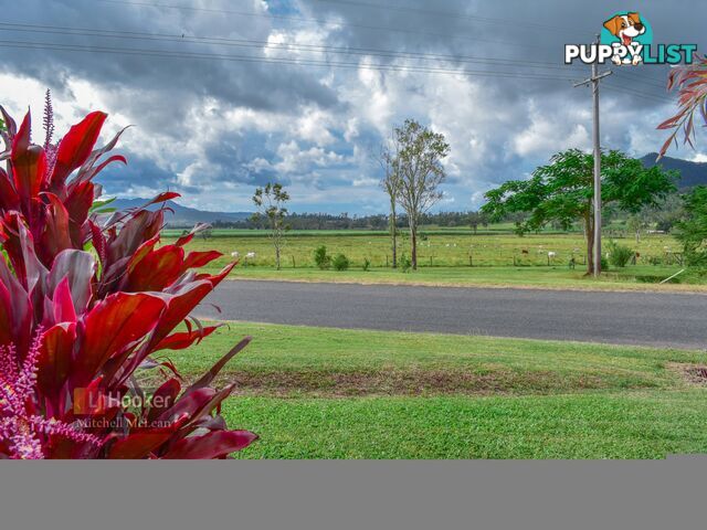 67 Camm Road MOUNT JULIAN QLD 4800