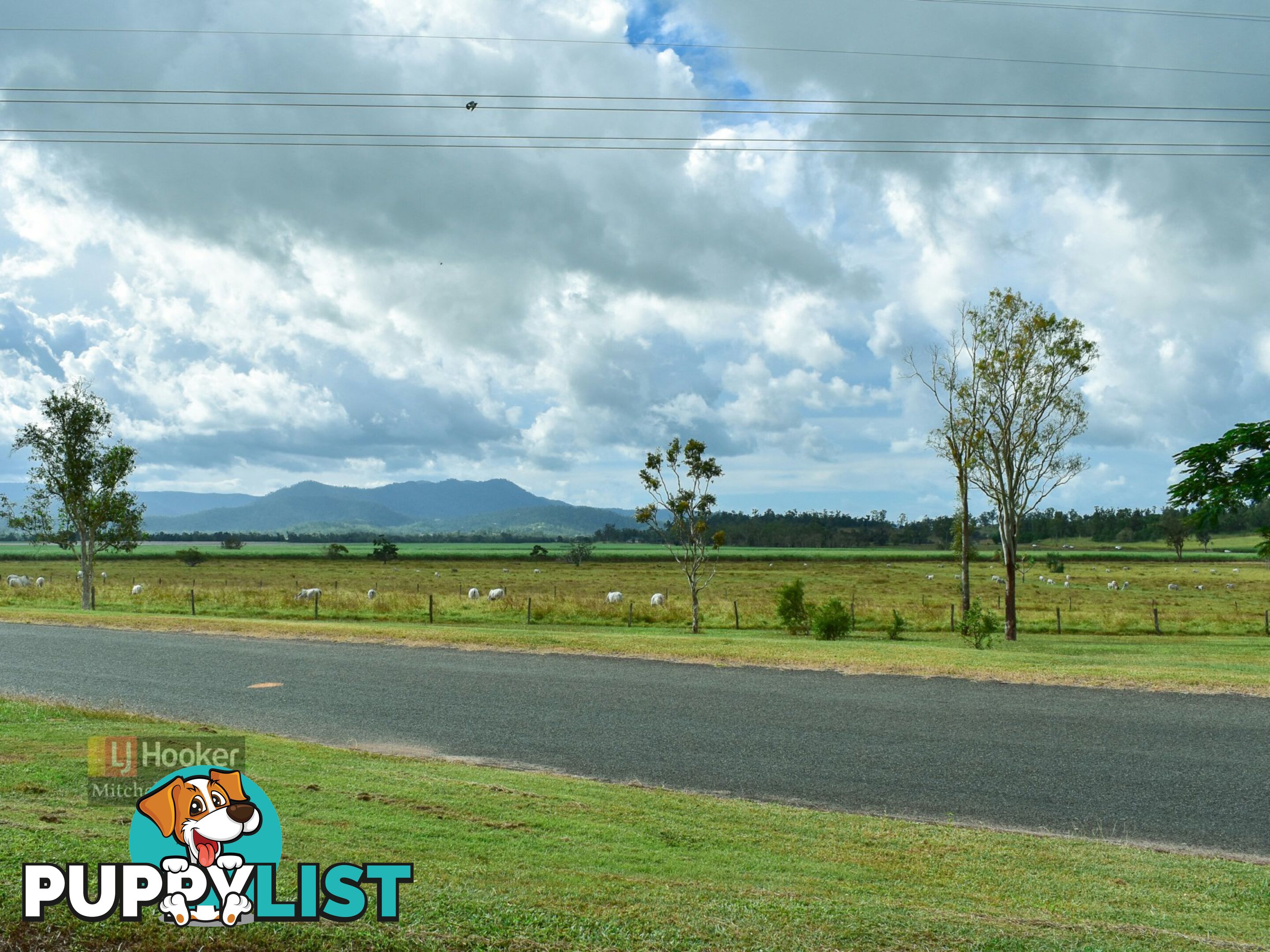 67 Camm Road MOUNT JULIAN QLD 4800