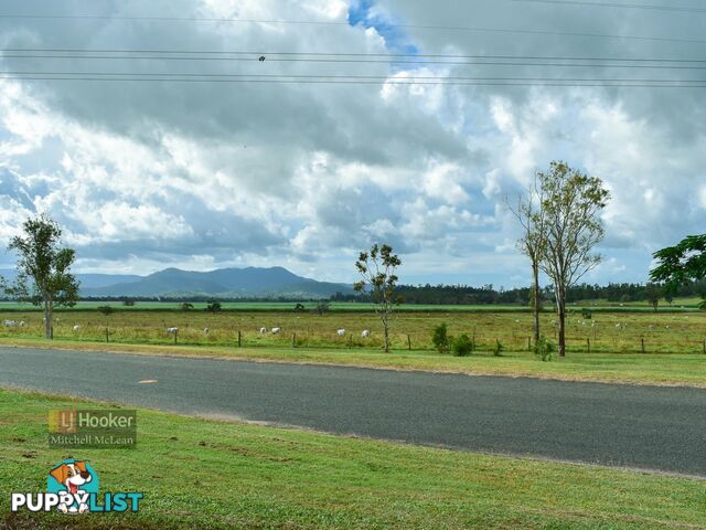 67 Camm Road MOUNT JULIAN QLD 4800