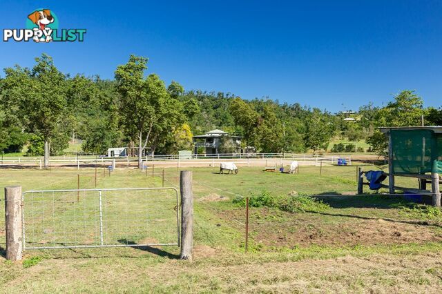 18 Moon Crescent SUGARLOAF QLD 4800