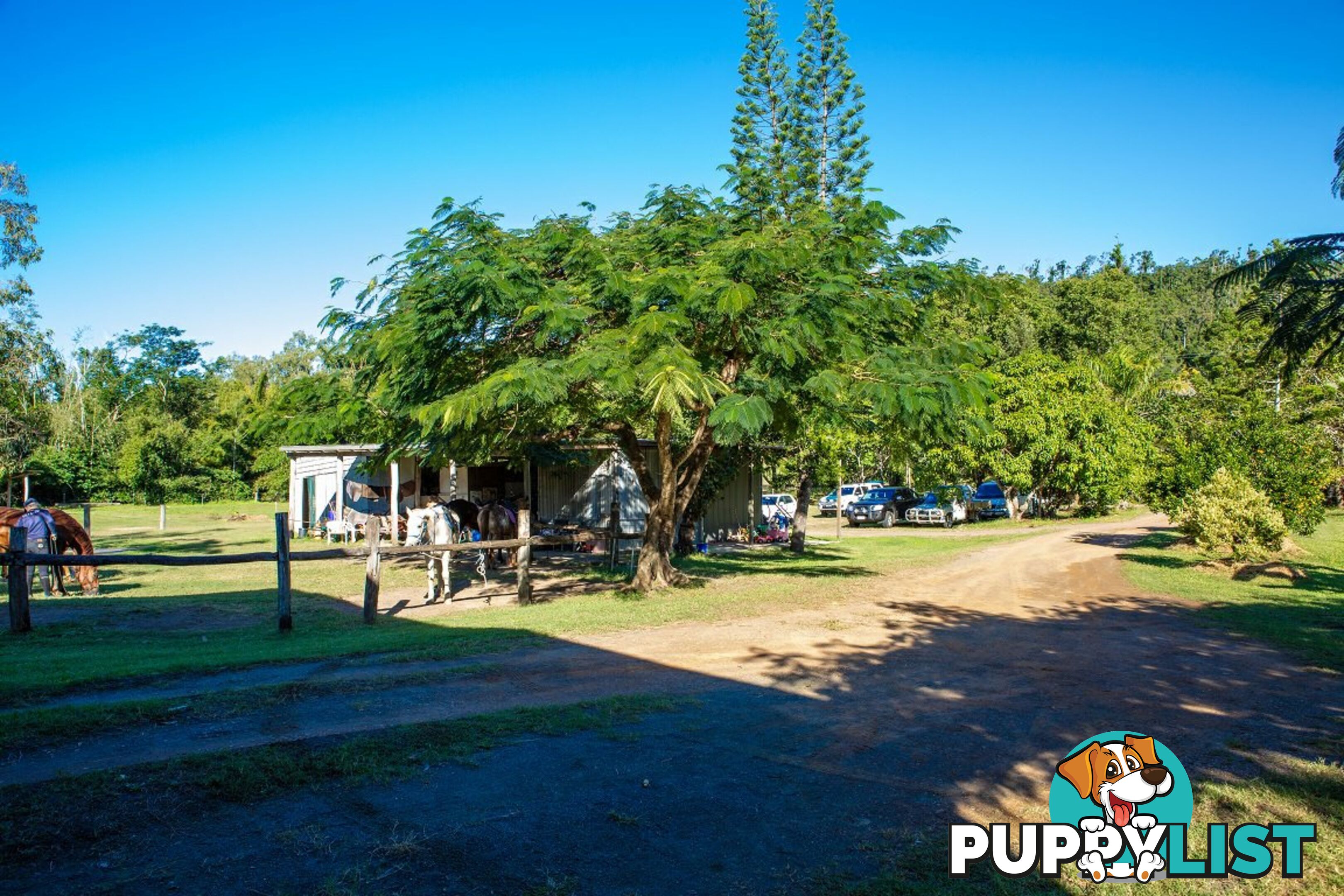 18 Moon Crescent SUGARLOAF QLD 4800