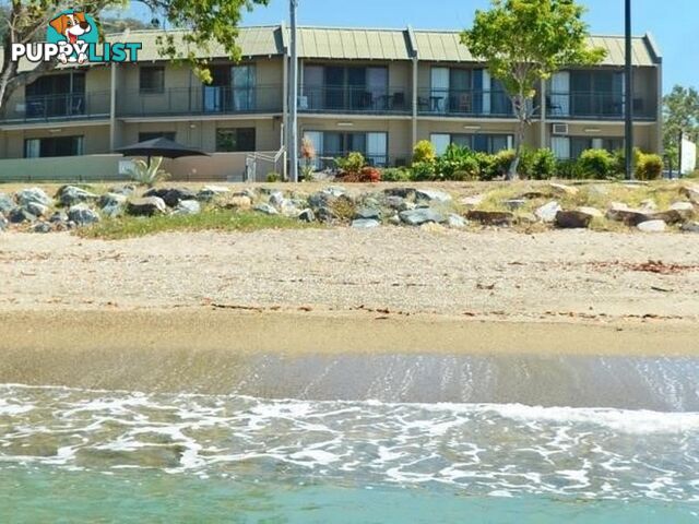 4/48 Coral Esplanade CANNONVALE QLD 4802