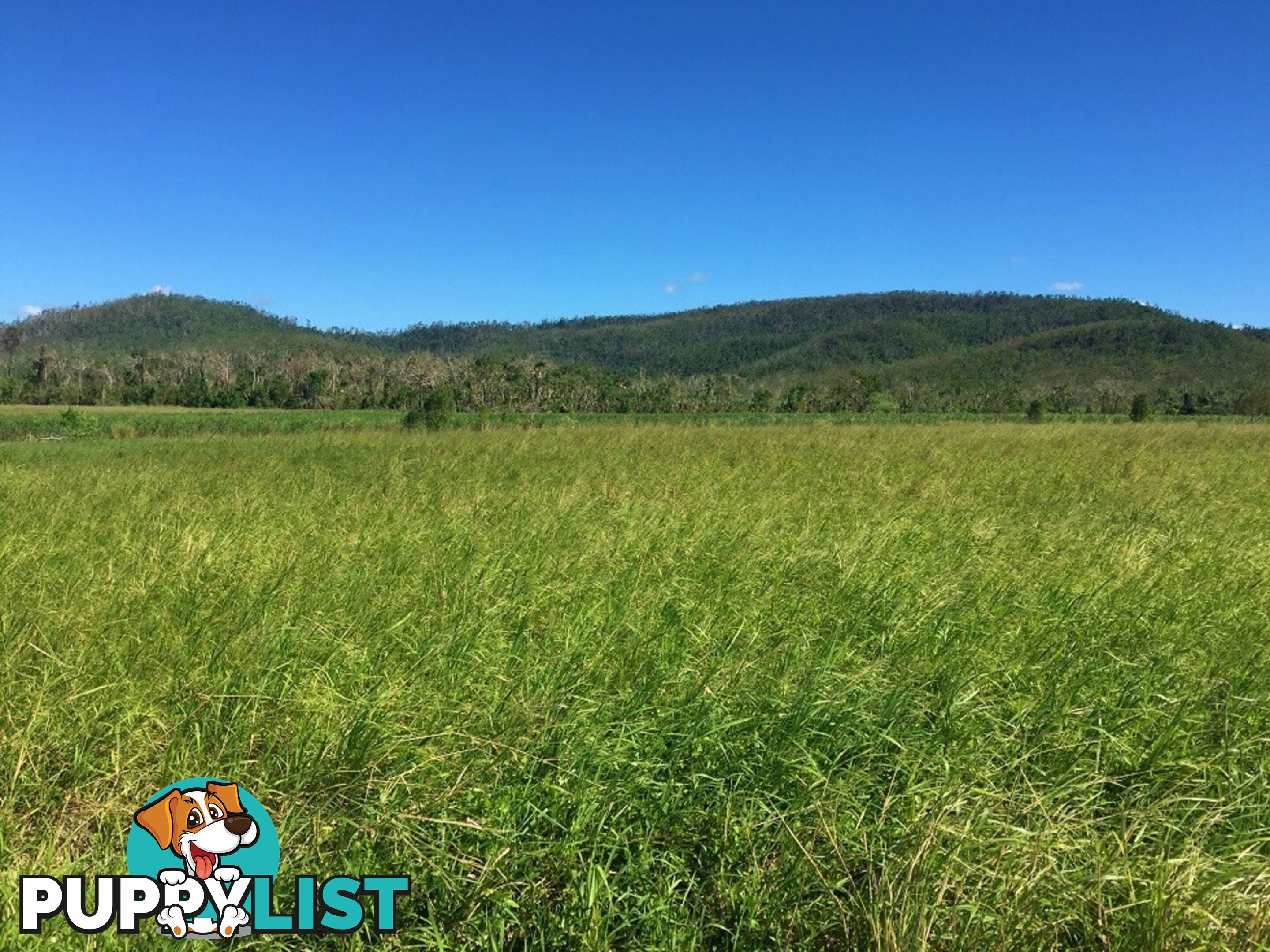 Lot 10 Gregory Cannon Valley Road GREGORY RIVER QLD 4800