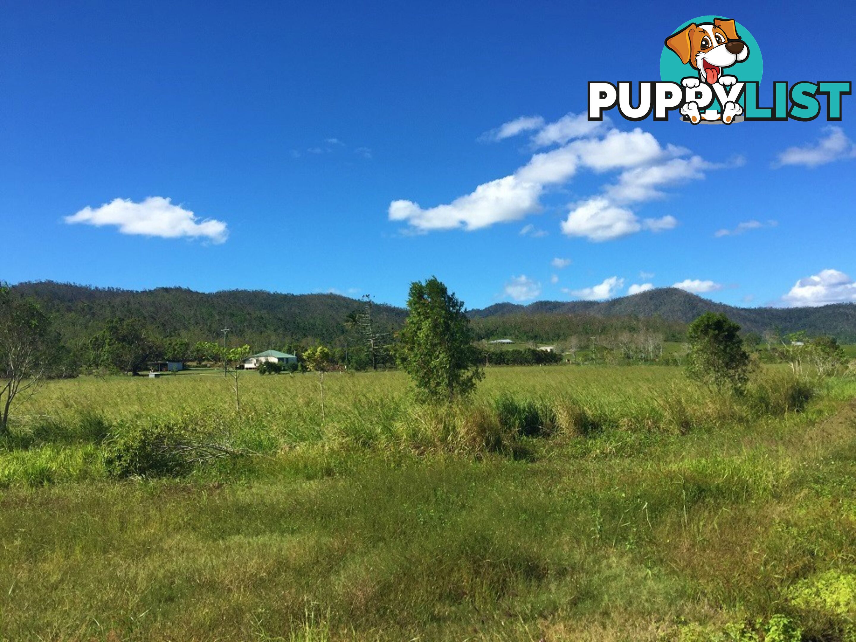 Lot 10 Gregory Cannon Valley Road GREGORY RIVER QLD 4800