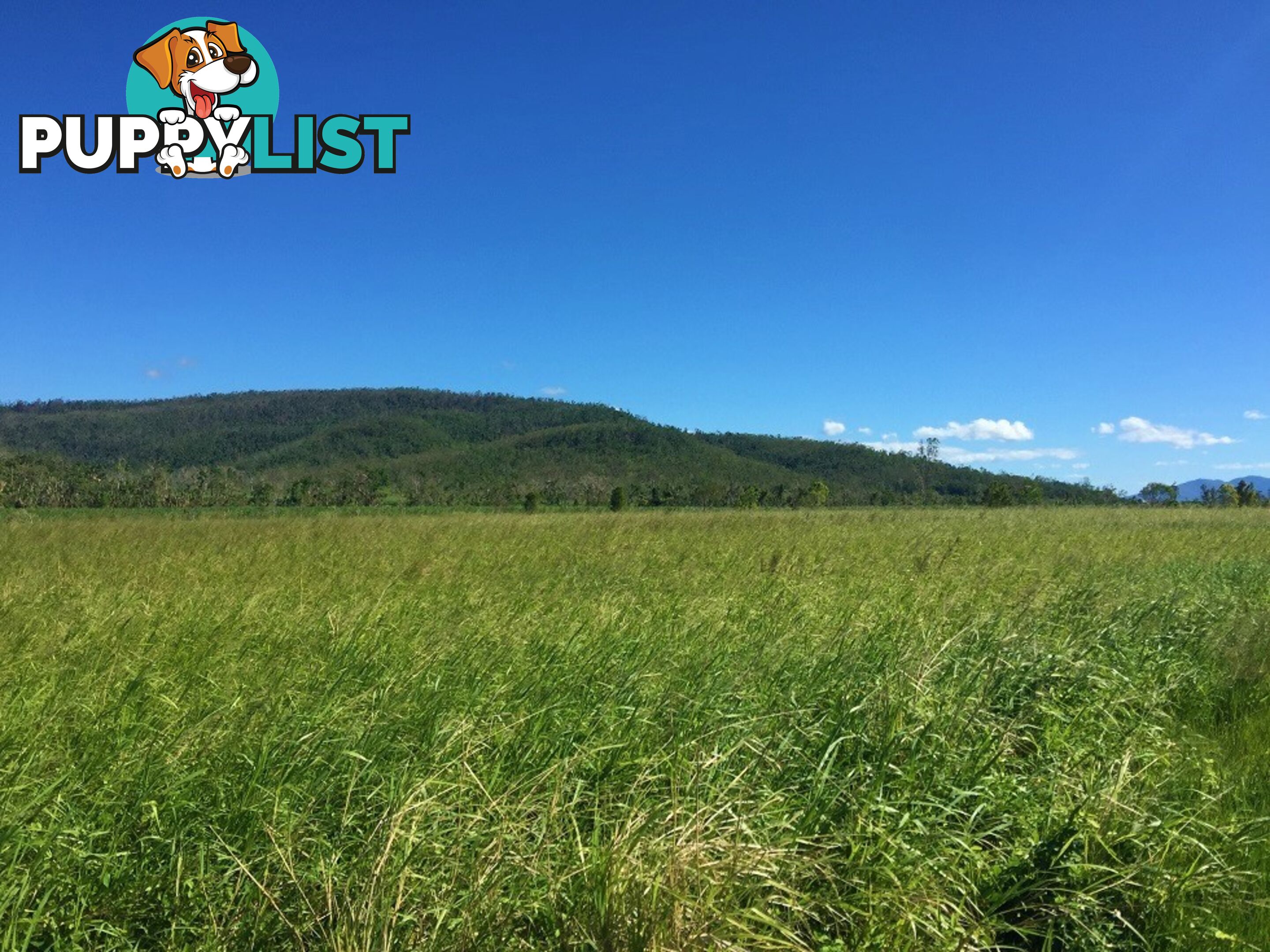 Lot 10 Gregory Cannon Valley Road GREGORY RIVER QLD 4800