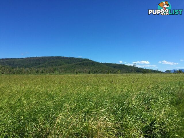 Lot 10 Gregory Cannon Valley Road GREGORY RIVER QLD 4800