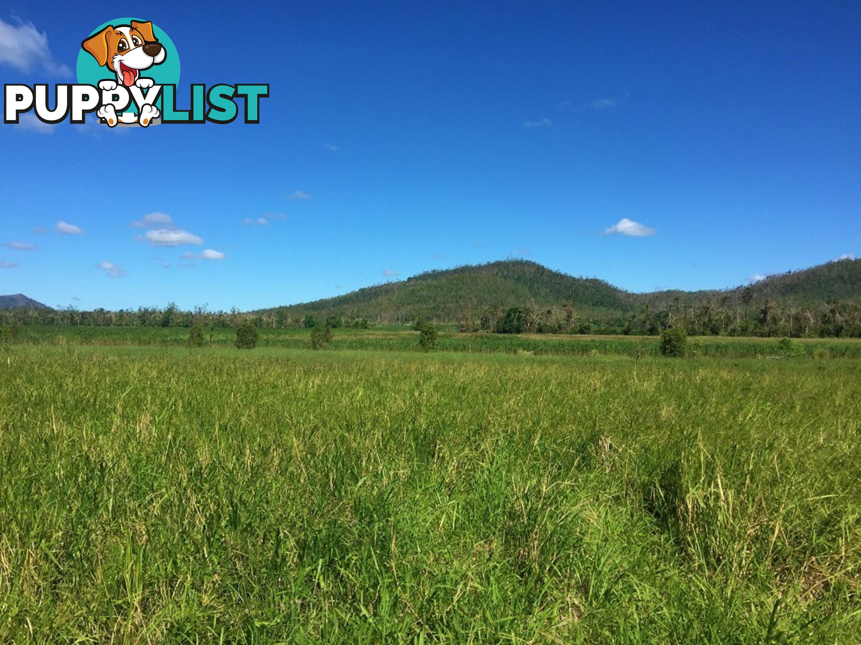 Lot 10 Gregory Cannon Valley Road GREGORY RIVER QLD 4800