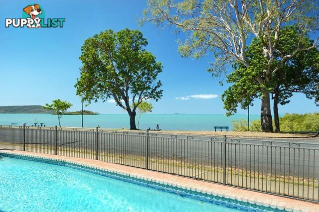 15/48 Coral Esplanade CANNONVALE QLD 4802