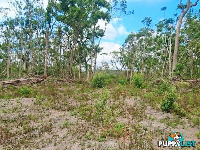 45 Saltwater Creek Road PALM GROVE QLD 4800