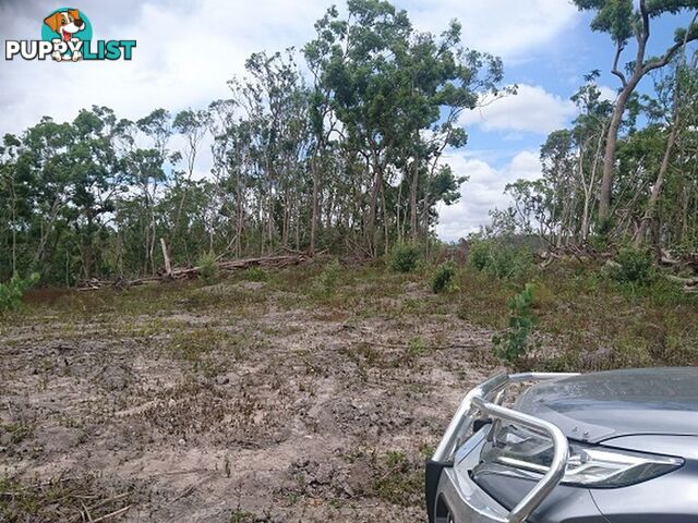 45 Saltwater Creek Road PALM GROVE QLD 4800