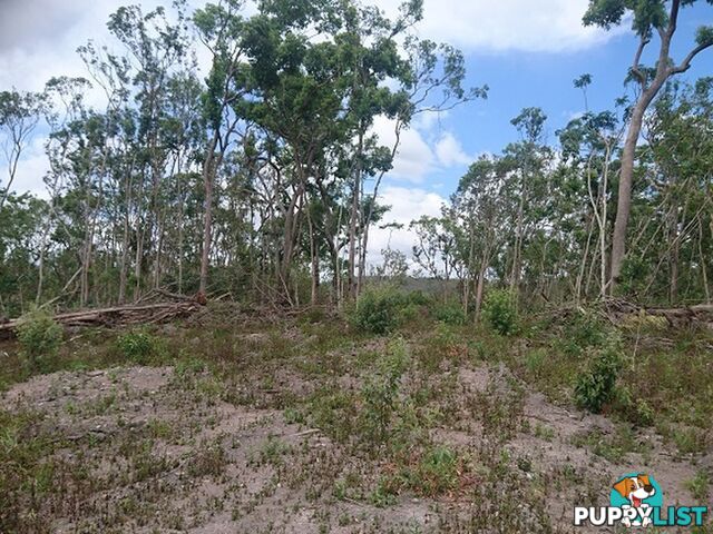 45 Saltwater Creek Road PALM GROVE QLD 4800