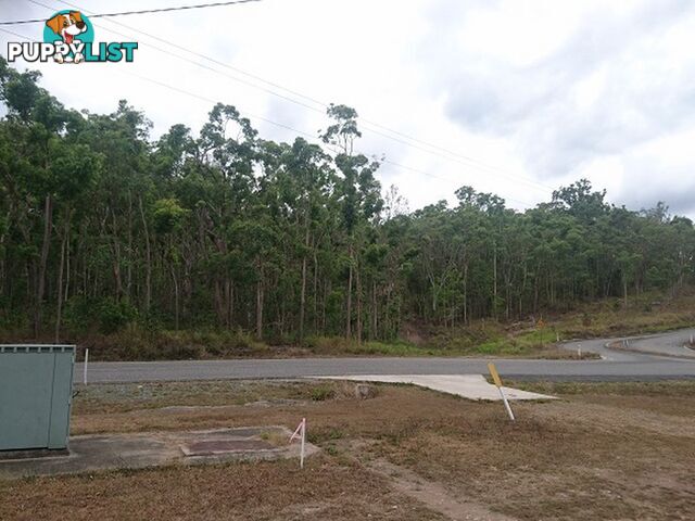 45 Saltwater Creek Road PALM GROVE QLD 4800