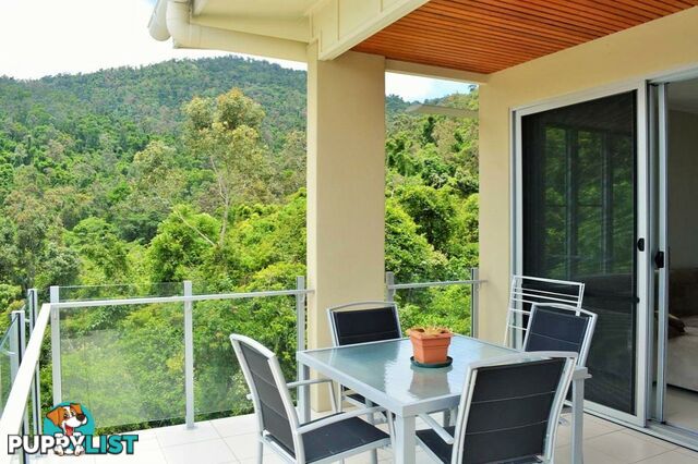 31/15 Flametree Court AIRLIE BEACH QLD 4802