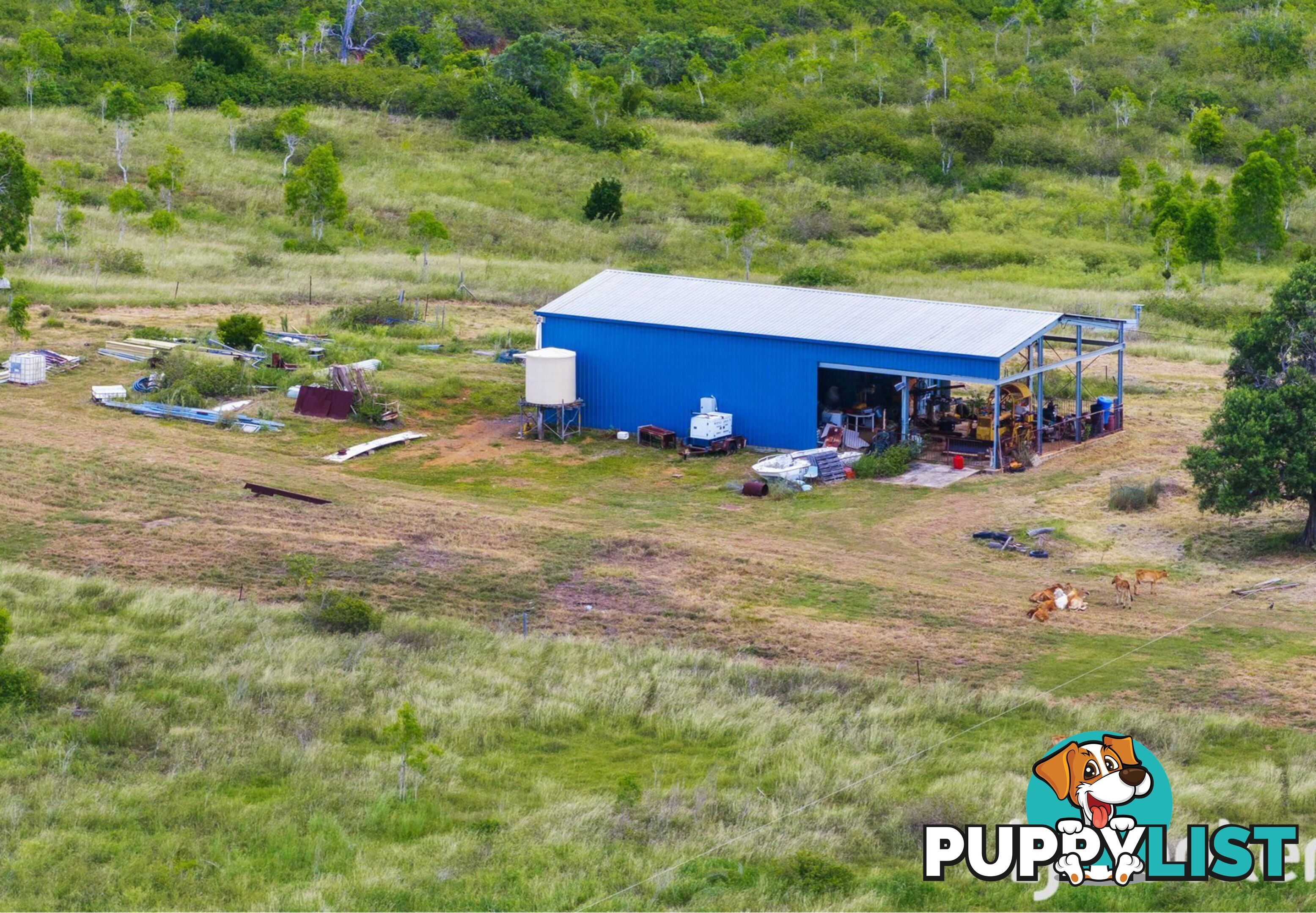 41 Zimpel Road BRACEWELL QLD 4695