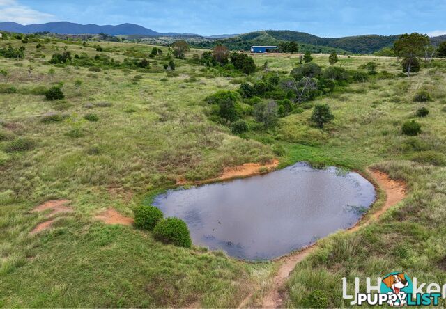 41 Zimpel Road BRACEWELL QLD 4695