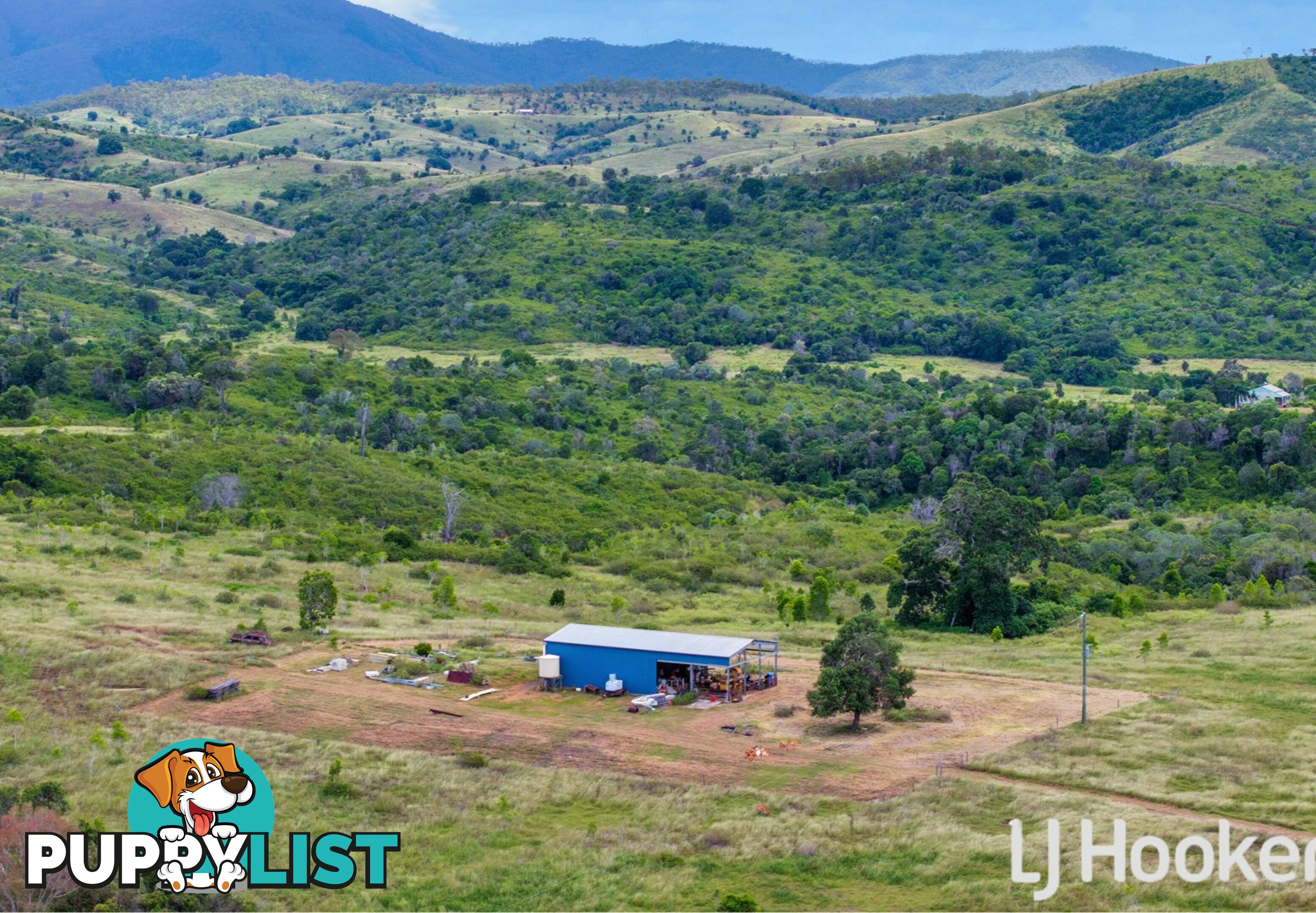 41 Zimpel Road BRACEWELL QLD 4695