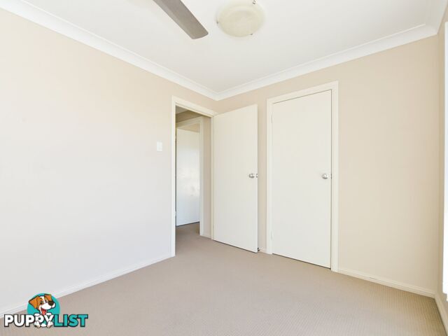 Unit 2/11 Walsh Street SOUTH GLADSTONE QLD 4680