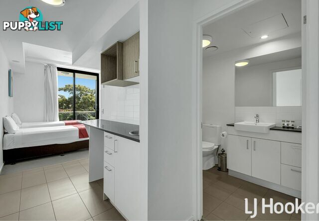 Unit 508/52 Oaka Lane GLADSTONE CENTRAL QLD 4680