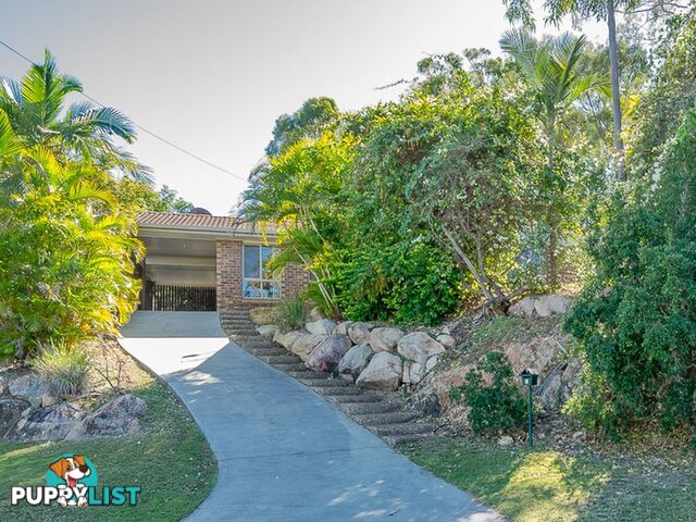 8 Mimosa Court KIN KORA QLD 4680