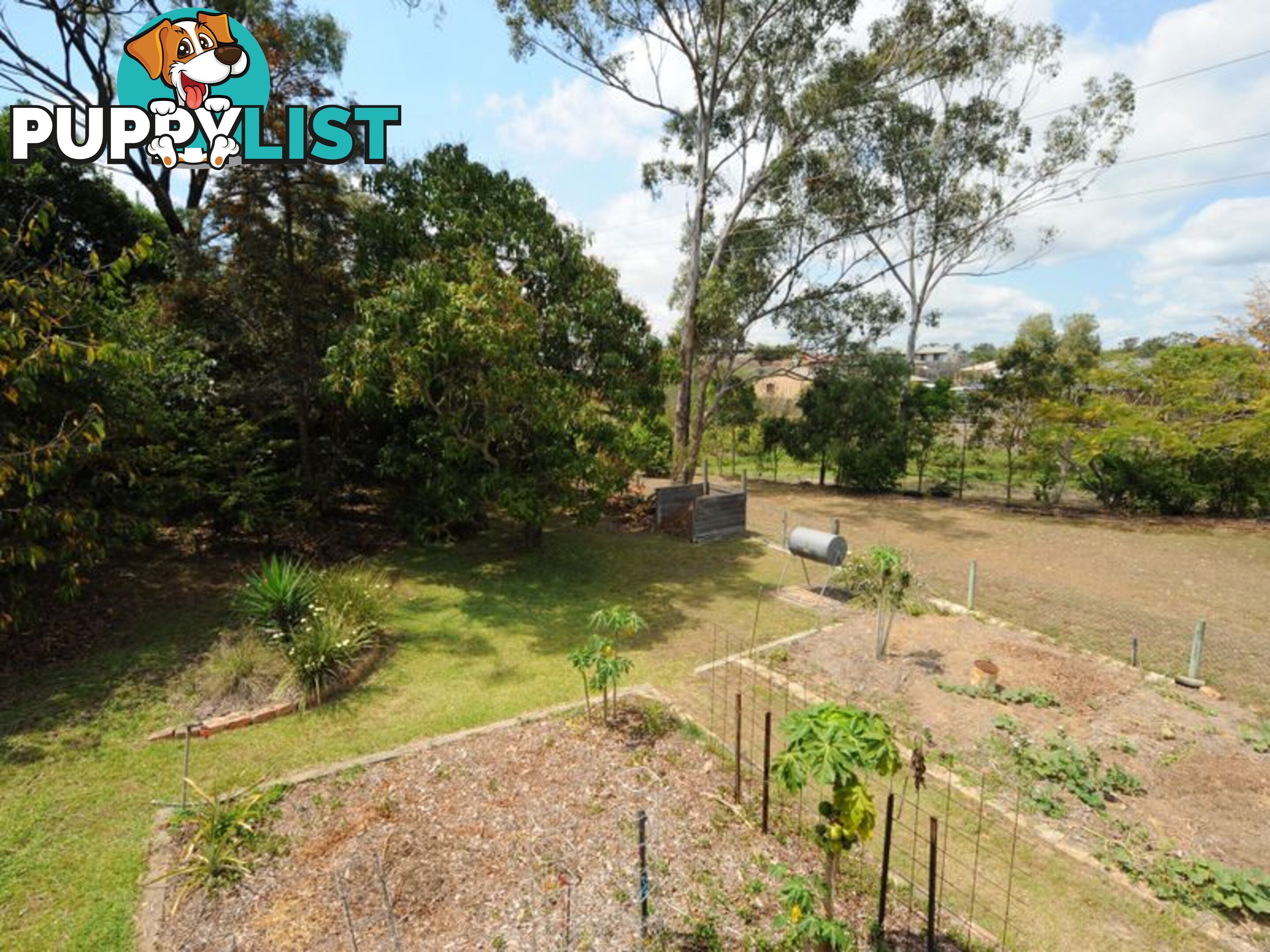 42 Allunga Drive GLEN EDEN QLD 4680