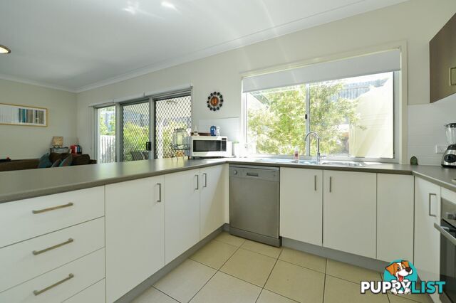 Unit 3/9 Cavella Drive GLEN EDEN QLD 4680