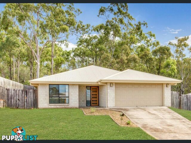 19 Deveney Drive KIRKWOOD QLD 4680