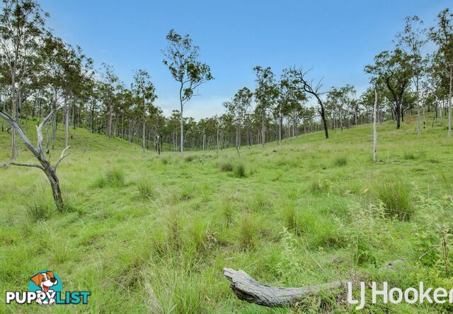 374 Austins Road BRACEWELL QLD 4695