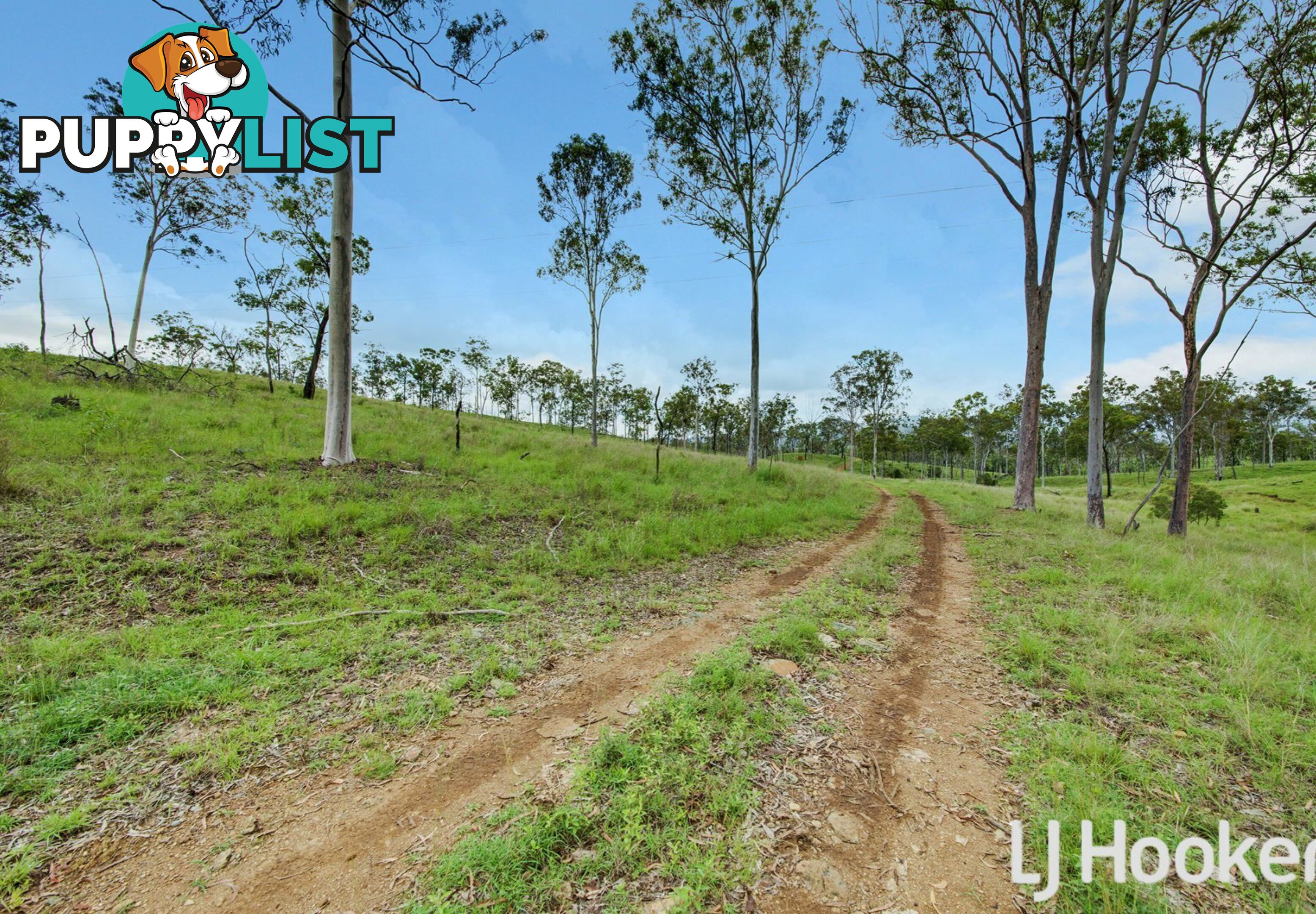 374 Austins Road BRACEWELL QLD 4695