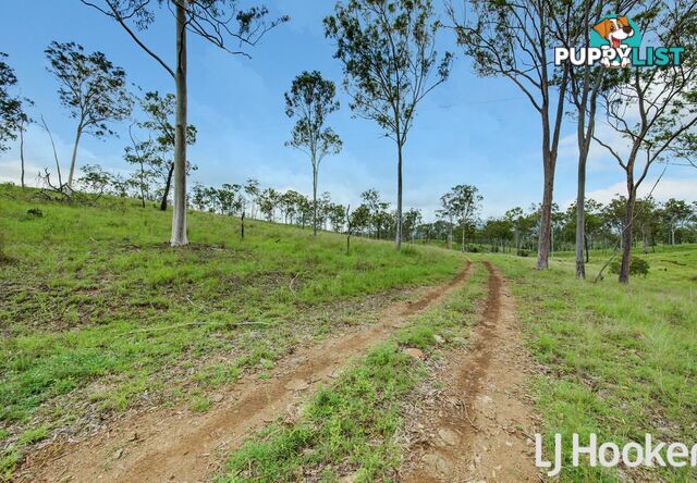 374 Austins Road BRACEWELL QLD 4695