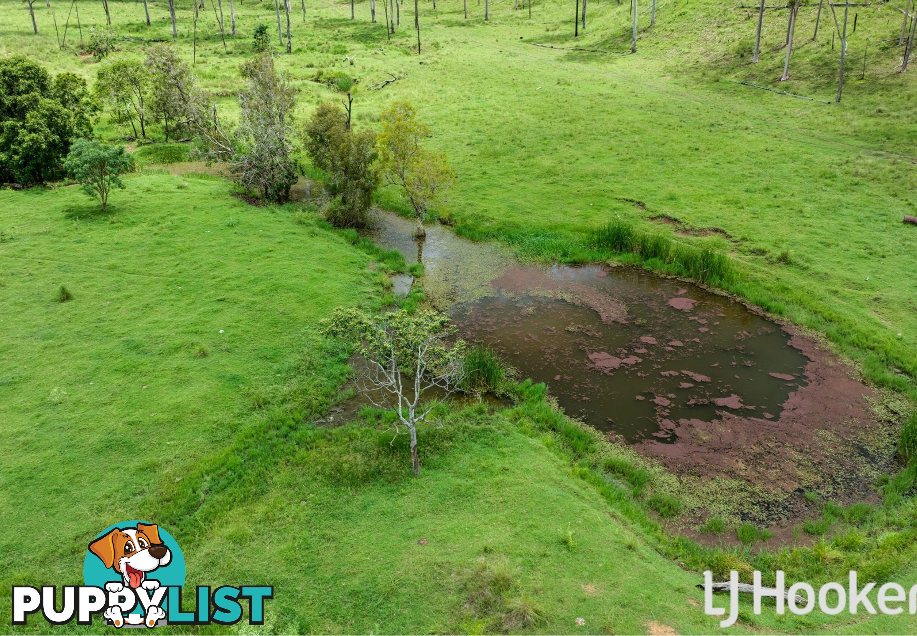 374 Austins Road BRACEWELL QLD 4695