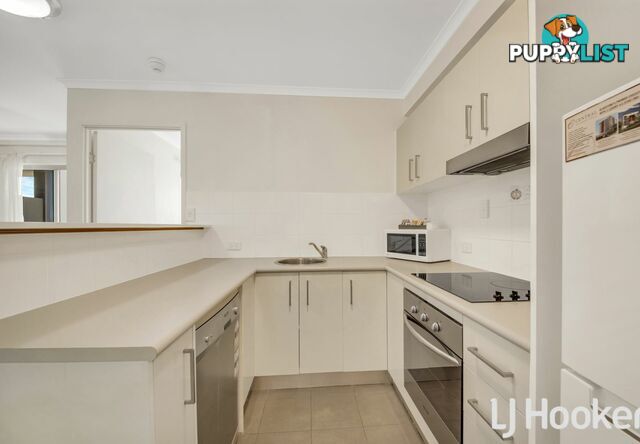 Unit 407-408/66 Oaka Lane GLADSTONE CENTRAL QLD 4680