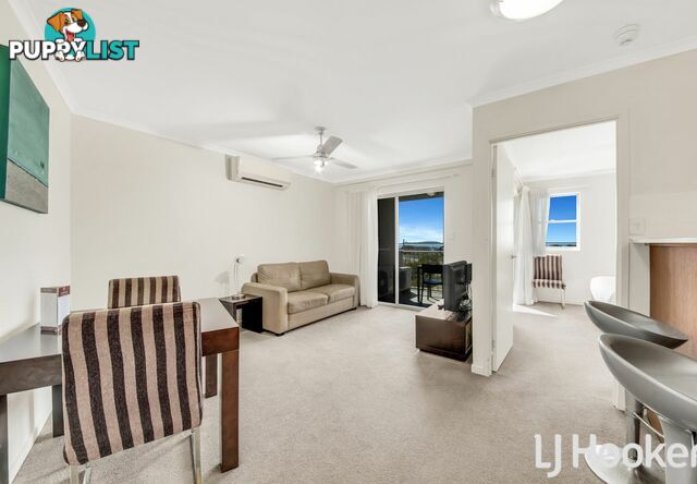 Unit 407-408/66 Oaka Lane GLADSTONE CENTRAL QLD 4680